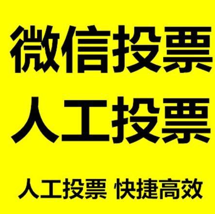 蚌埠市投票活动拉票能被查出来吗？如何操作能不被发现？